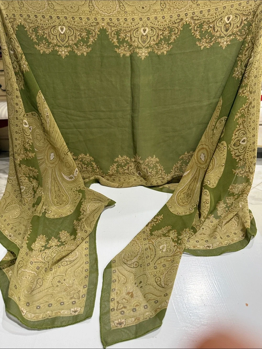 Olive Green Paisley Border Scarf - Women Accessories Scarves & Wraps 64” by 21”
